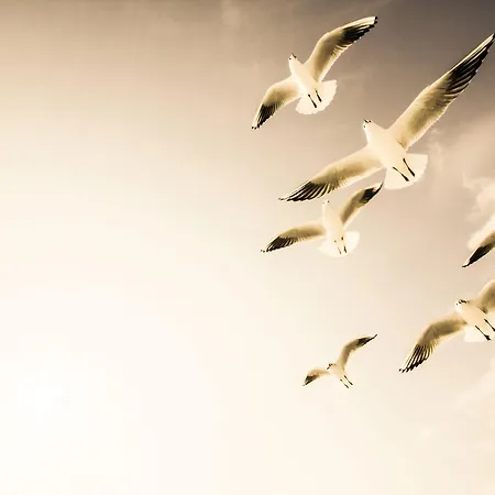 Dock Warnemünde * Rostock