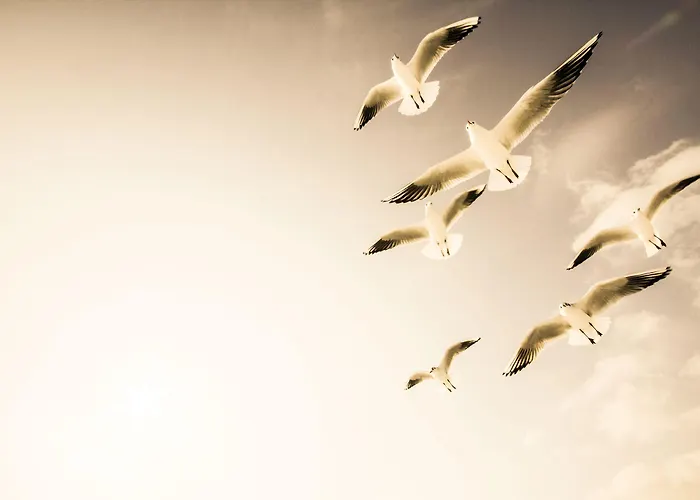 Dock Warnemünde * Rostock